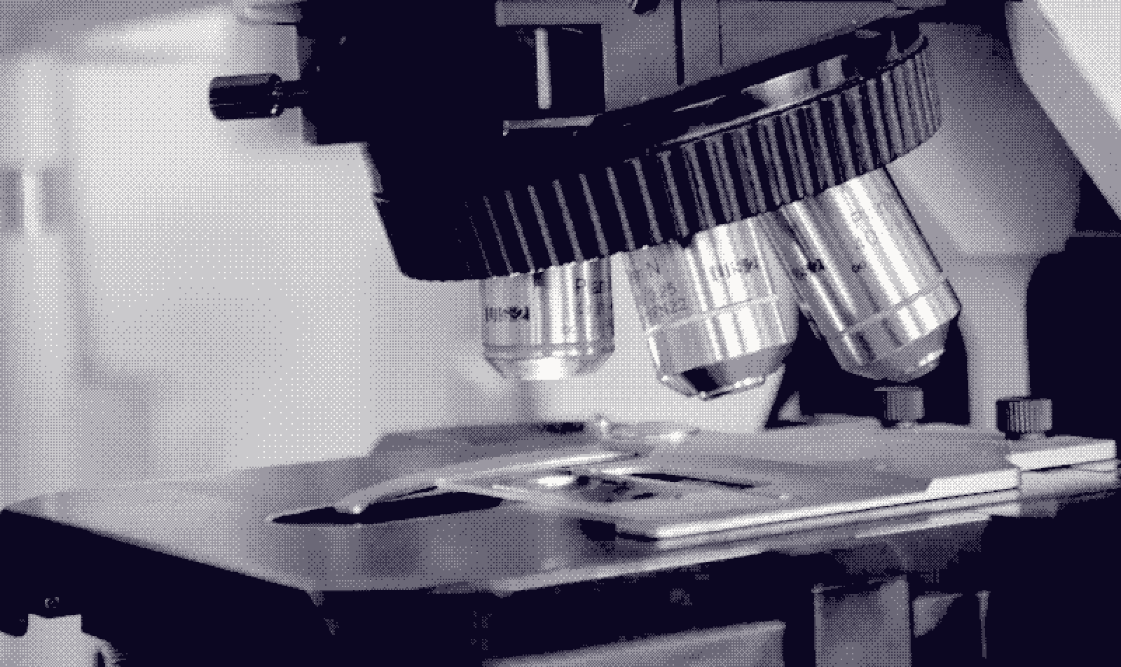 A specimen slide held on a microscope stage, washed in violet light